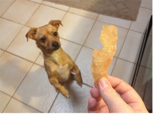 Molly Wants a Treat!